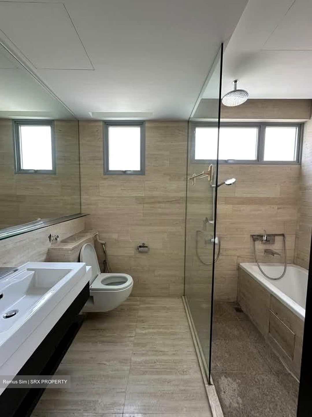 Horizon Residences (D5), Condominium #562513911